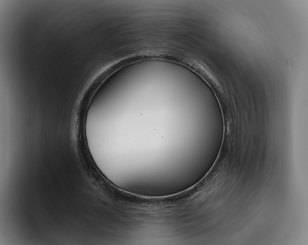 X0000093100724200709260927