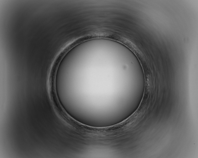 X0000093100726200709260927