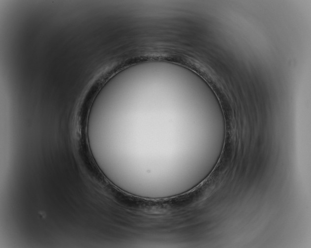 X0000093100731200709260927