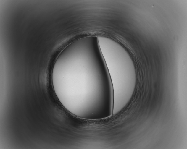 X0000093100732200709260927