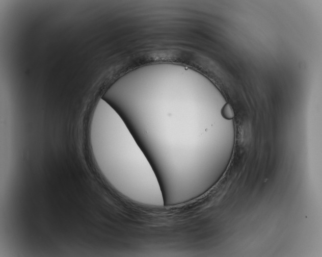 X0000093100733200709260927