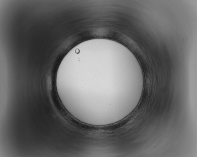 X0000093100734200709260927