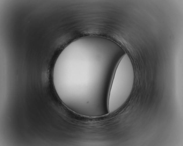 X0000093100735200709260927