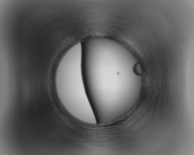 X0000093100738200709260927