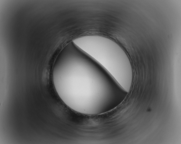 X0000093100739200709260927