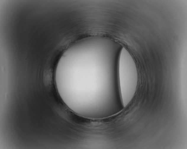 X0000093100744200709260927