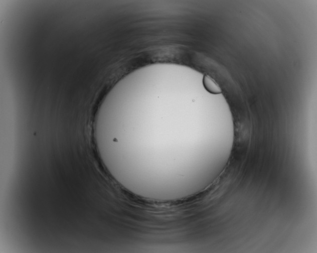 X0000093100753200709260927