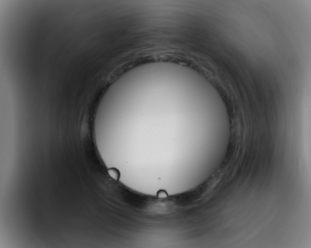 X0000093100754200709260927