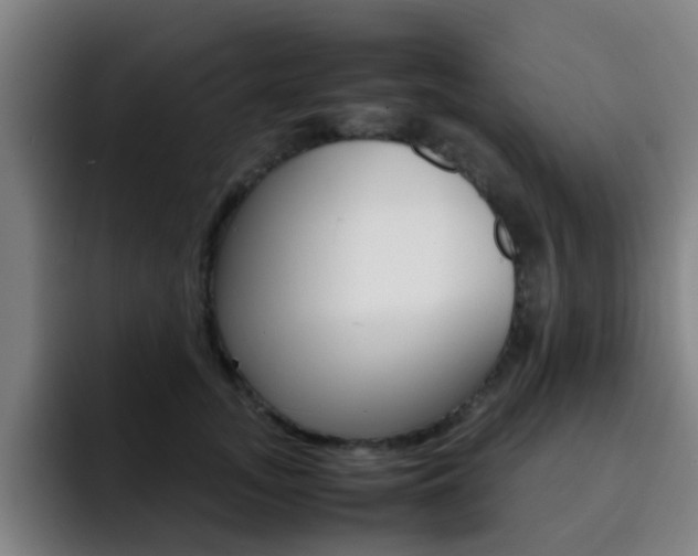 X0000093100755200709260927