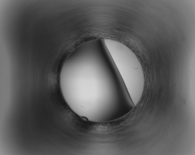 X0000093100756200709260927