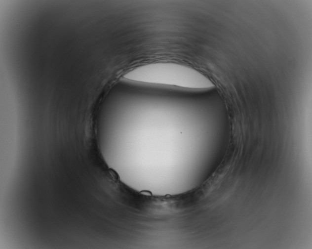 X0000093100760200709260927