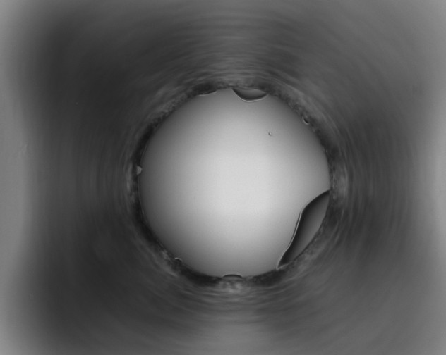 X0000093100764200709260927