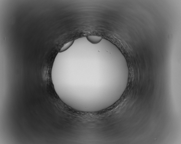 X0000093100770200709260927