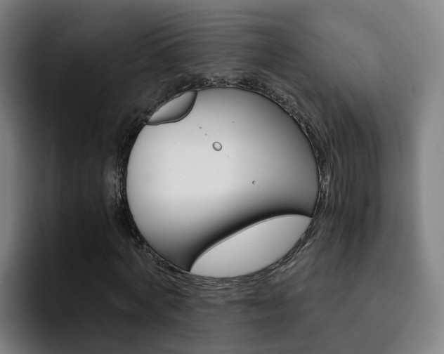 X0000093100772200709260927