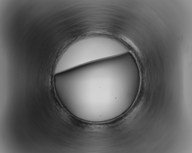 X0000093100777200709260926