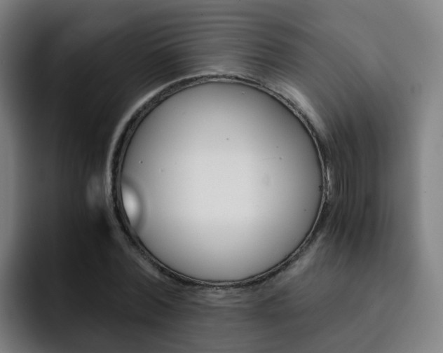 X0000093100780200709260926