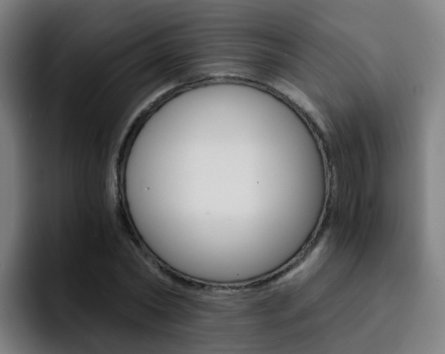 X0000093100782200709260926