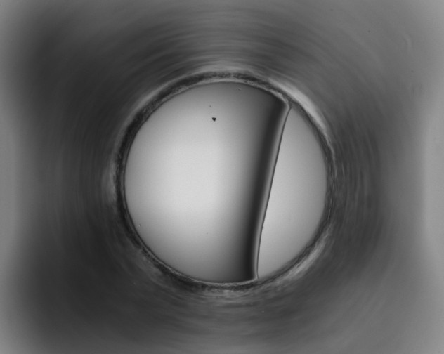 X0000093100783200709260926