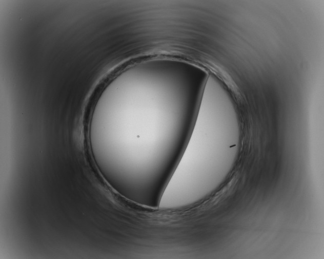 X0000093100784200709260926