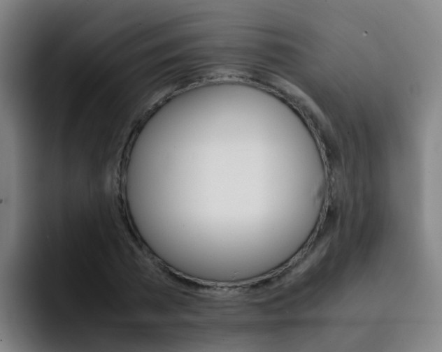 X0000093100785200709260926