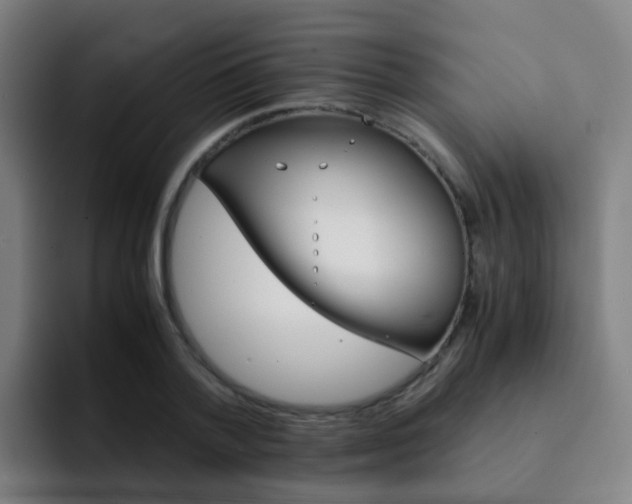 X0000093100788200709260926