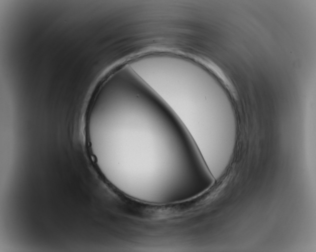 X0000093100791200709260926