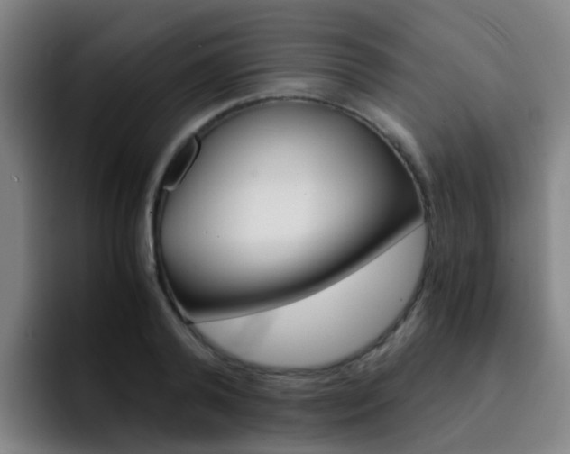 X0000093100792200709260926