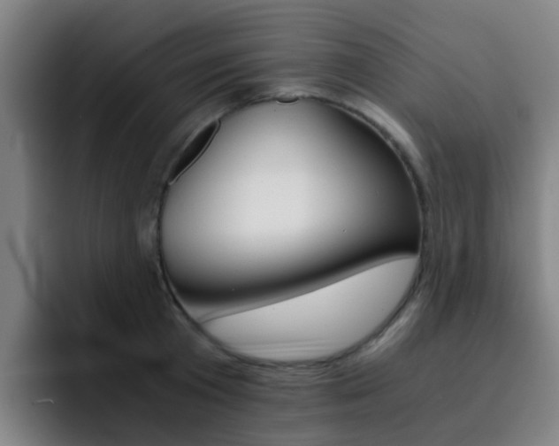 X0000093100801200709260926
