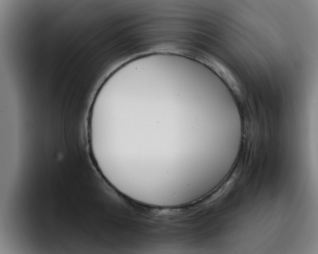 X0000093100808200709260926