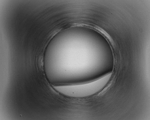 X0000093100809200709260926