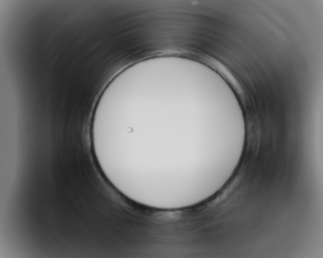 X0000093100810200709260926