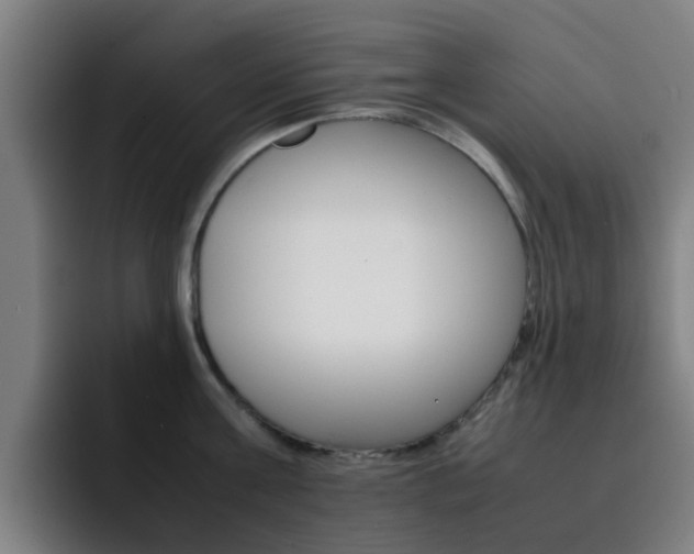 X0000093100811200709260926