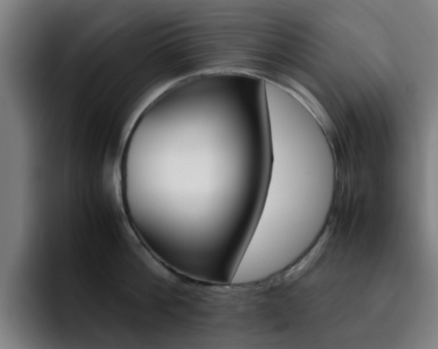 X0000093100812200709260926