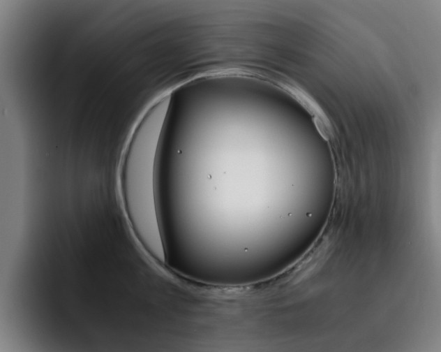 X0000093100813200709260926