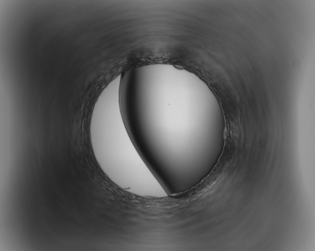 X0000093100818200709260925