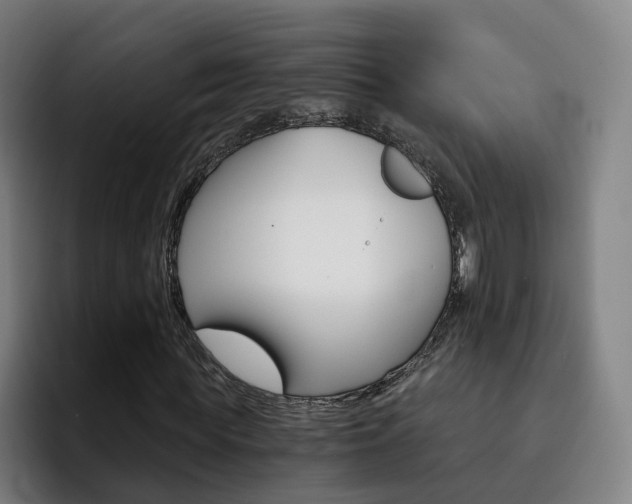 X0000093100819200709260925