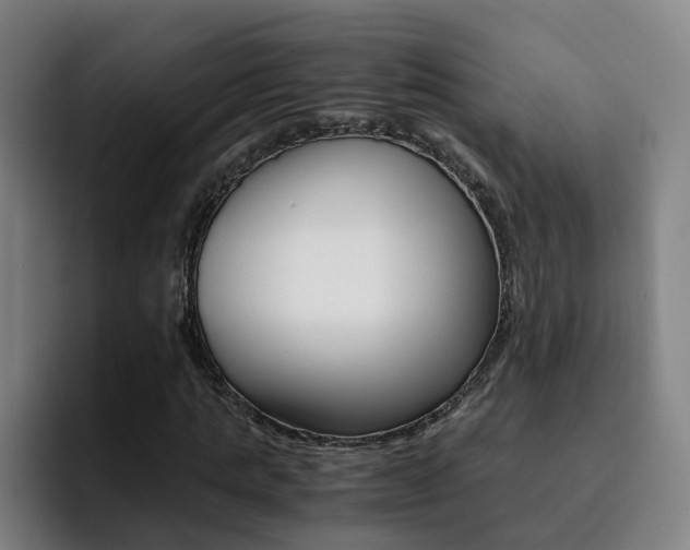 X0000093100821200709260926