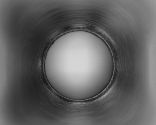 X0000093100825200709260926