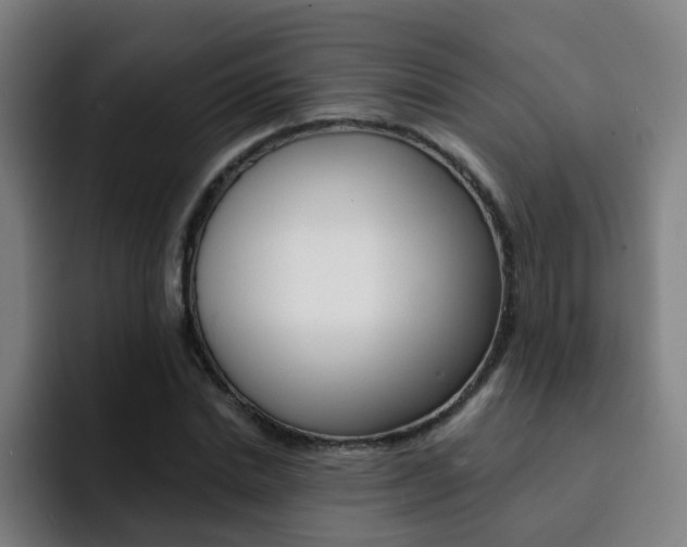 X0000093100830200709260926