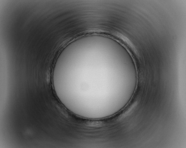 X0000093100833200709260926