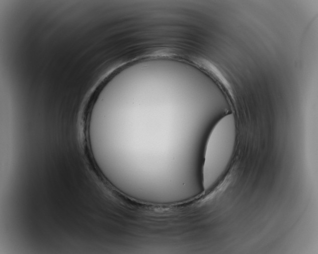 X0000093100835200709260926