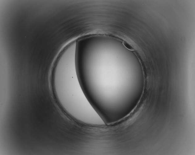X0000093100838200709260926