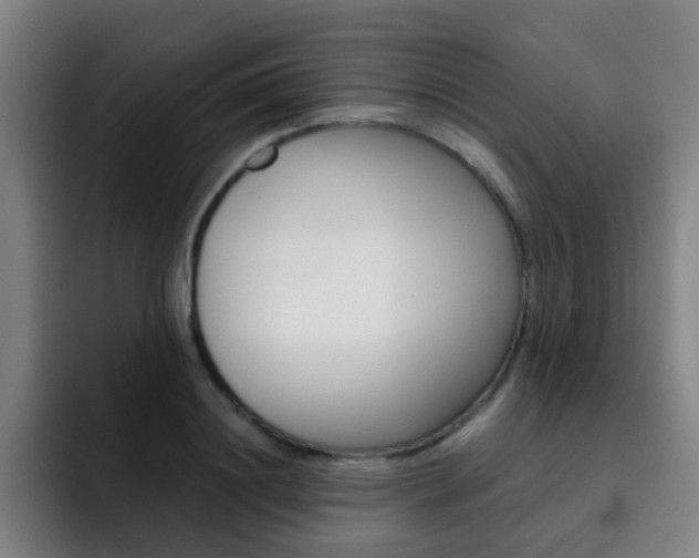 X0000093100844200709260926