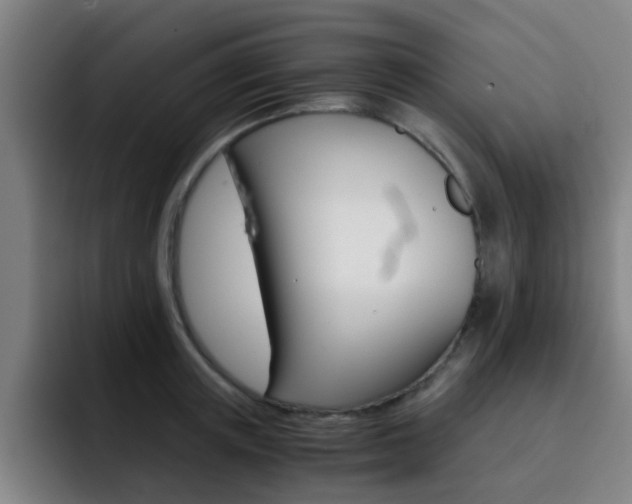 X0000093100851200709260926