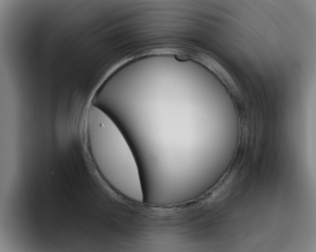 X0000093100852200709260926