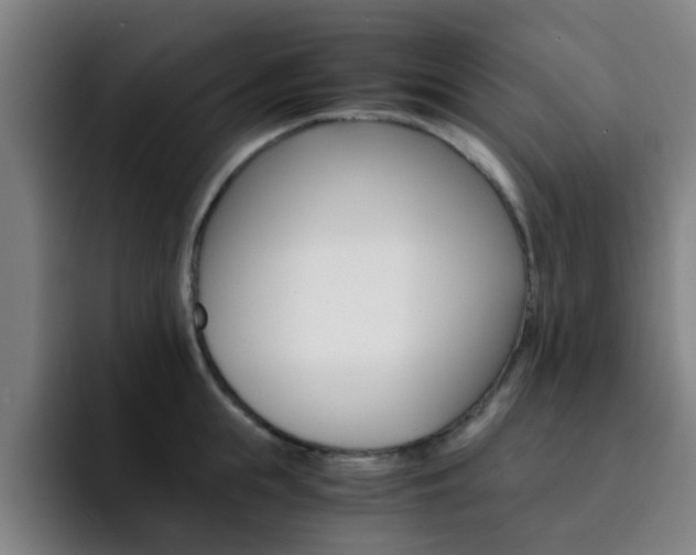 X0000093100855200709260926