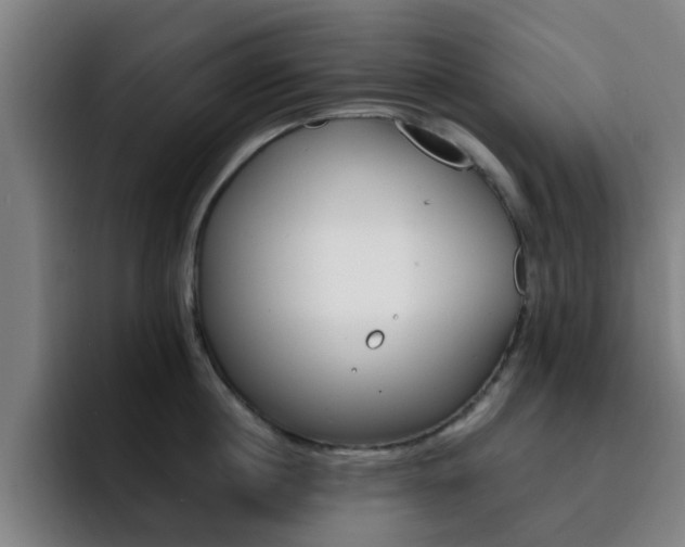 X0000093100860200709260926