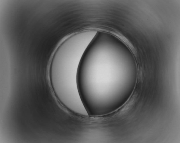 X0000093100862200709260926