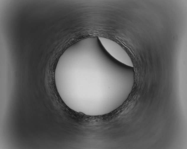 X0000093100865200709260925