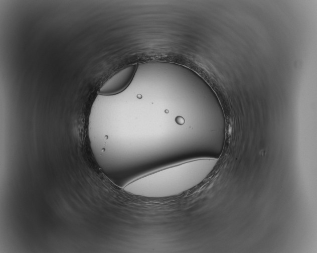 X0000093100867200709260925